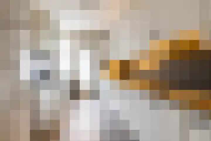 Briklaan 7 Veendam thumbnail 8