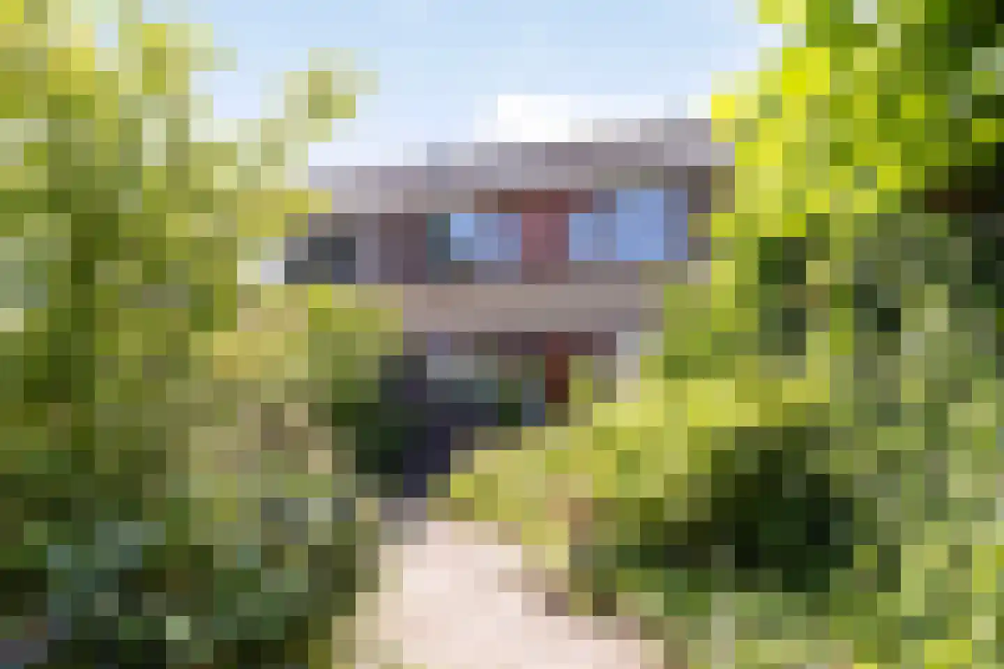 Brikstraat 10 Zaandam thumbnail 13