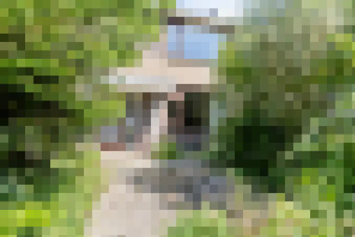 Brikstraat 10 Zaandam thumbnail 33