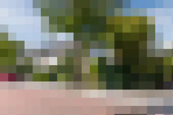 Brikstraat 46 Zaandam thumbnail 5