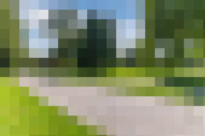 Brikstraat 46 Zaandam thumbnail 57