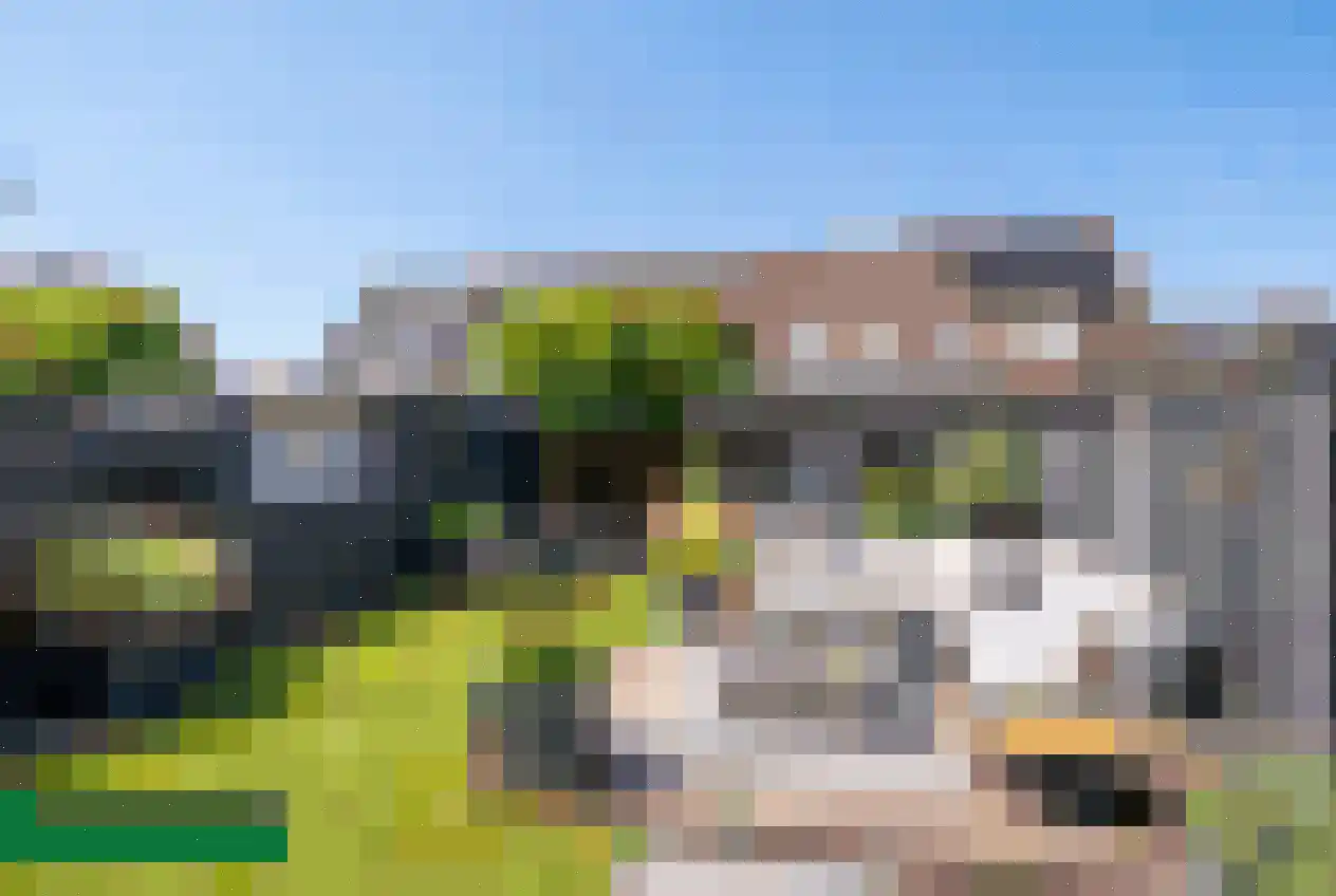 Brikstraat 49 Den Helder thumbnail 25
