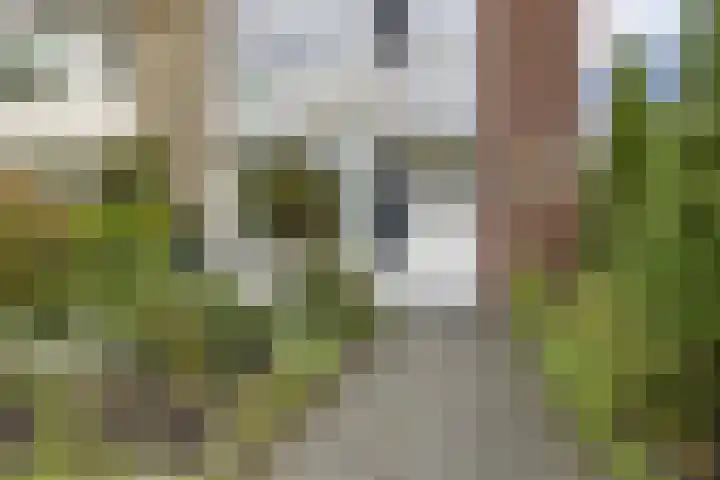 Brikstraat 58 Zaandam thumbnail 4