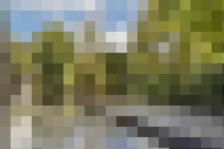 Brikstraat 75 Zaandam thumbnail 43