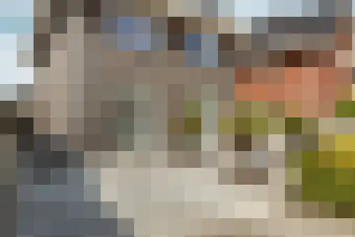 Brikzeil 16 Almere thumbnail 10