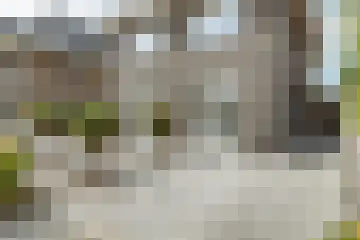 Brikzeil 16 Almere thumbnail 11