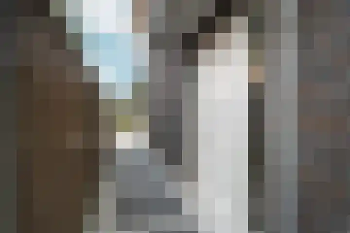 Brikzeil 16 Almere thumbnail 13