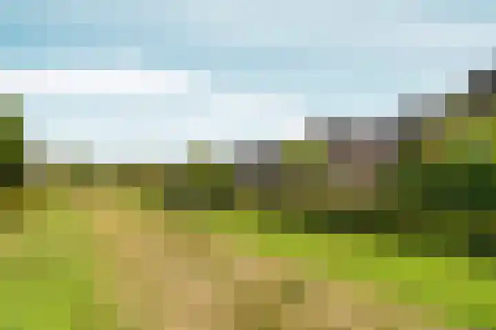 Brikzeil 16 Almere thumbnail 87