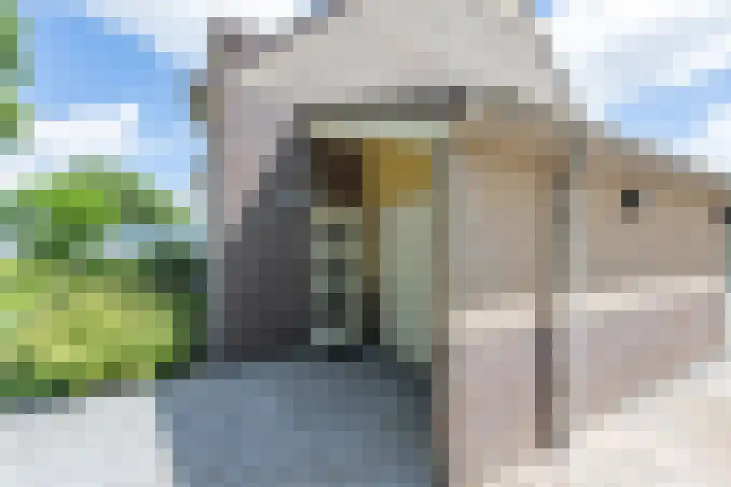 Brilbeer 26 Heerhugowaard thumbnail 10