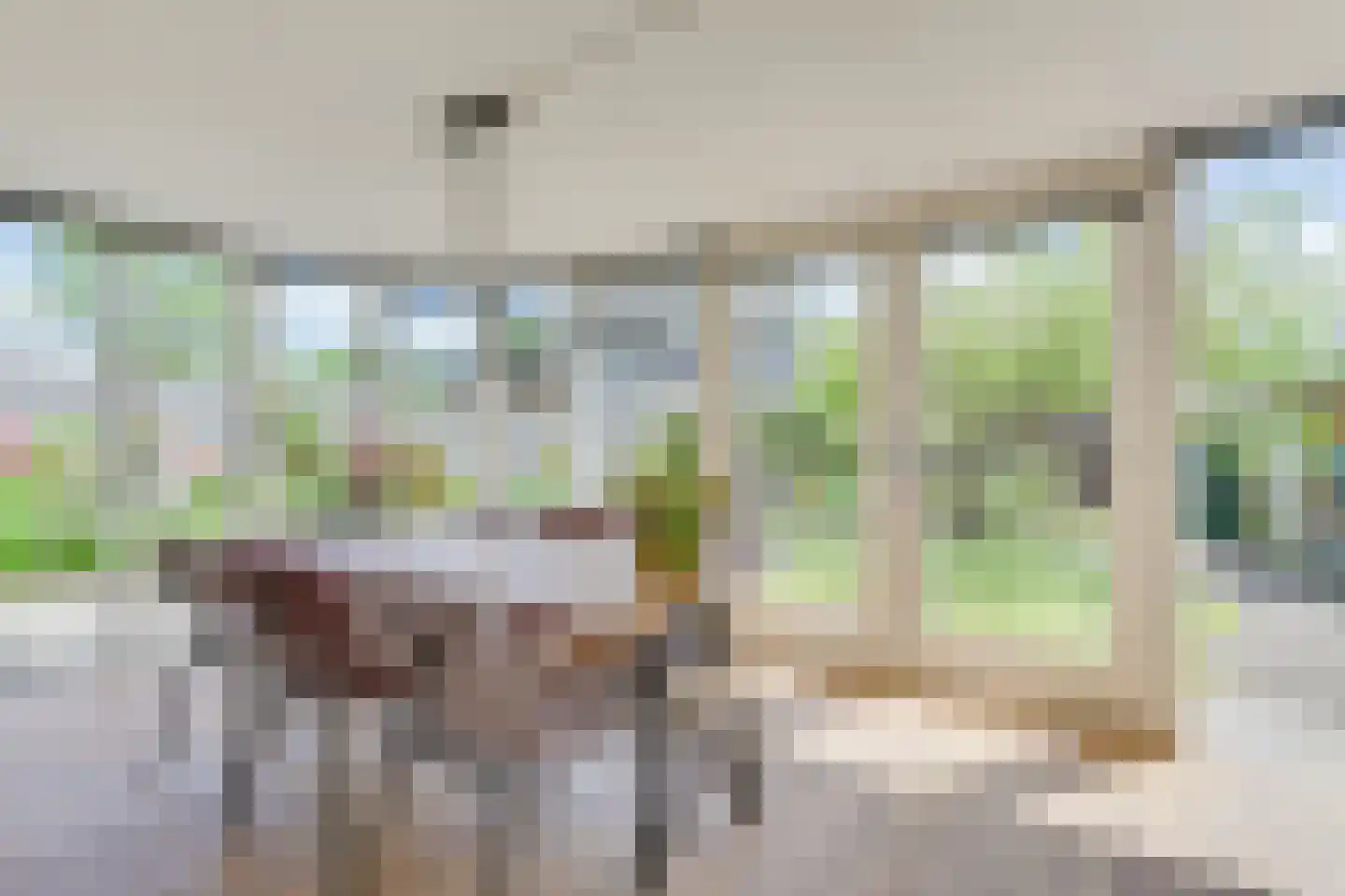 Brilbeer 26 Heerhugowaard thumbnail 27