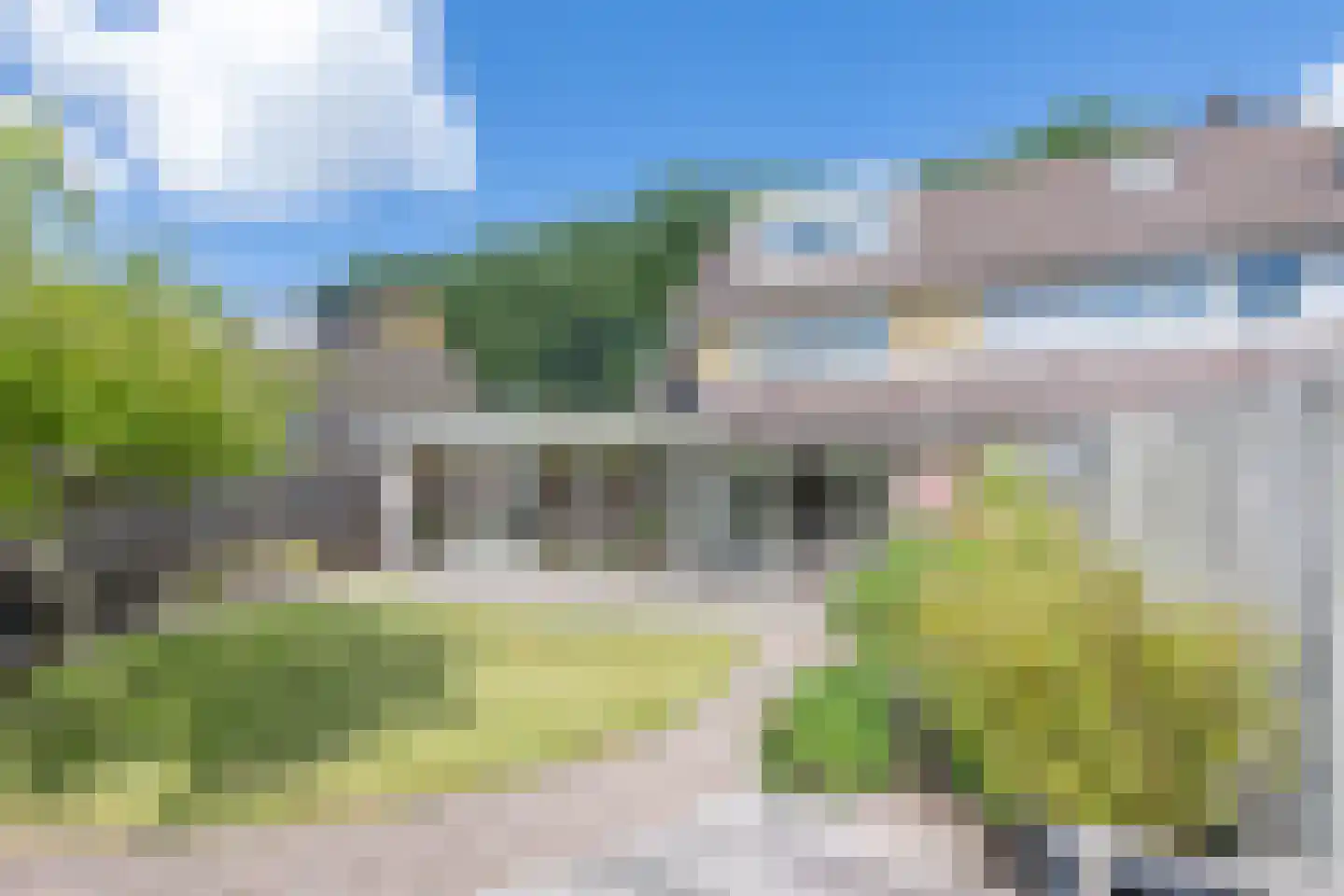 Brilbeer 26 Heerhugowaard thumbnail 4
