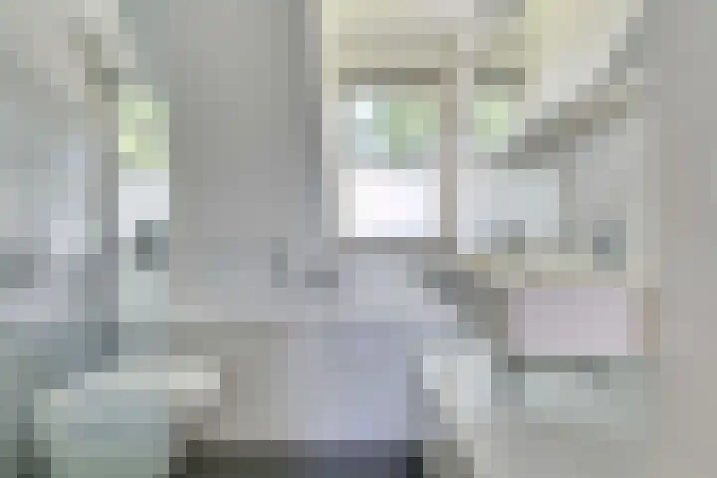 Brilbeer 26 Heerhugowaard thumbnail 40