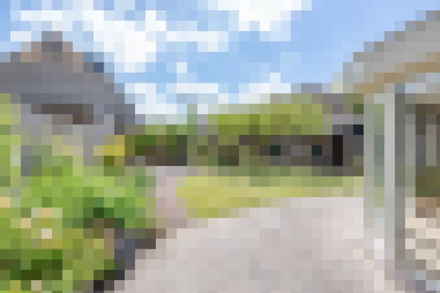 Brilbeer 26 Heerhugowaard thumbnail 50