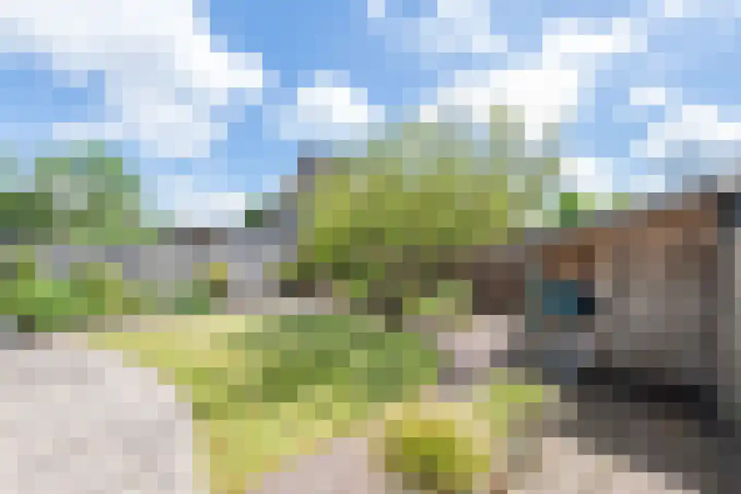 Brilbeer 26 Heerhugowaard thumbnail 52