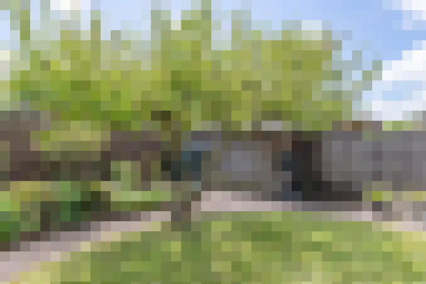 Brilbeer 26 Heerhugowaard thumbnail 56