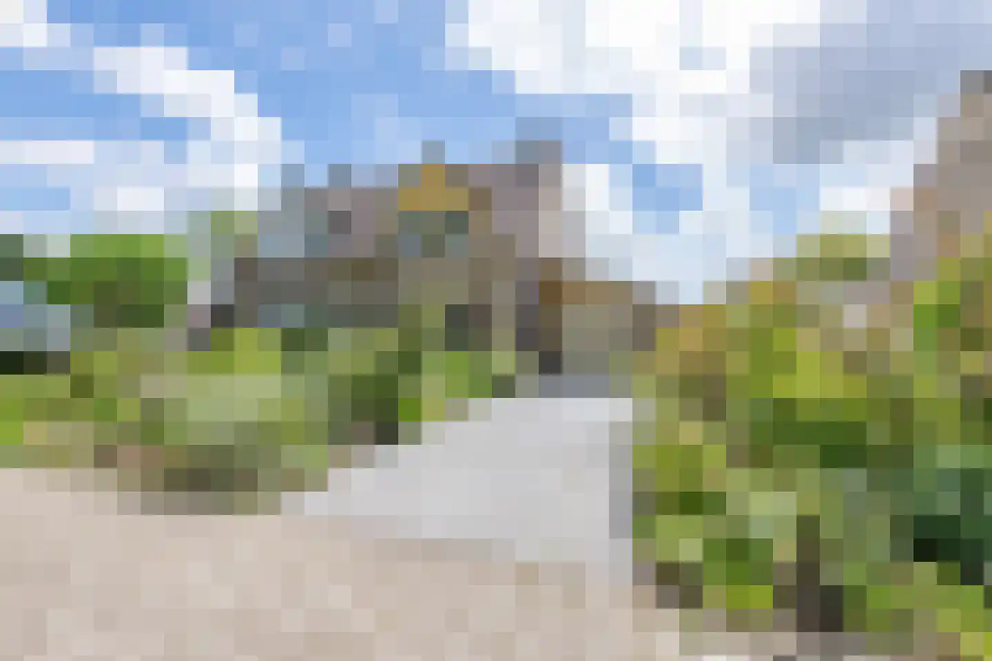 Brilbeer 26 Heerhugowaard thumbnail 6