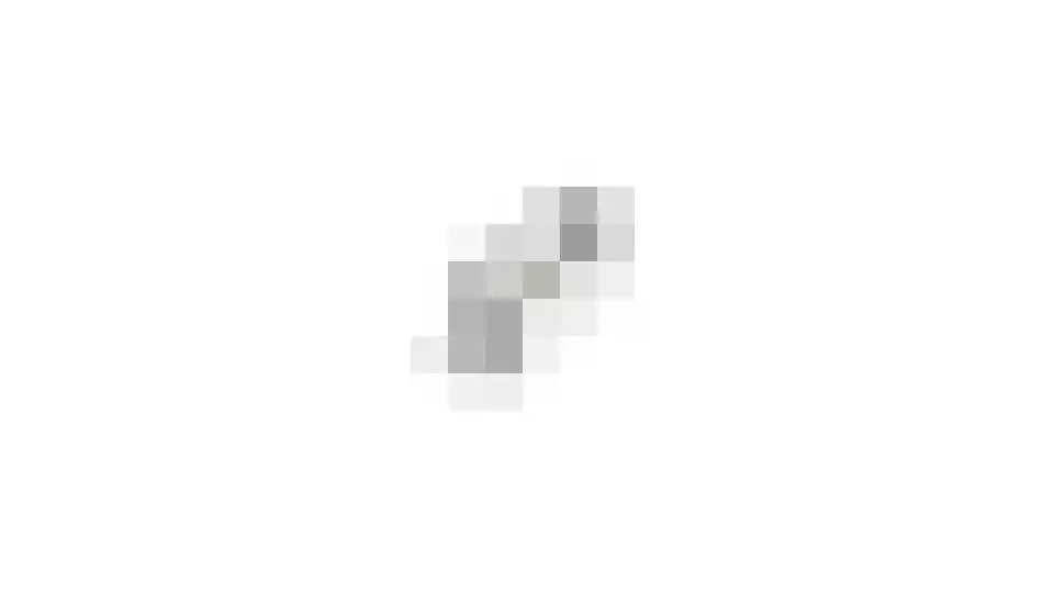 Brilbeer 26 Heerhugowaard thumbnail 69