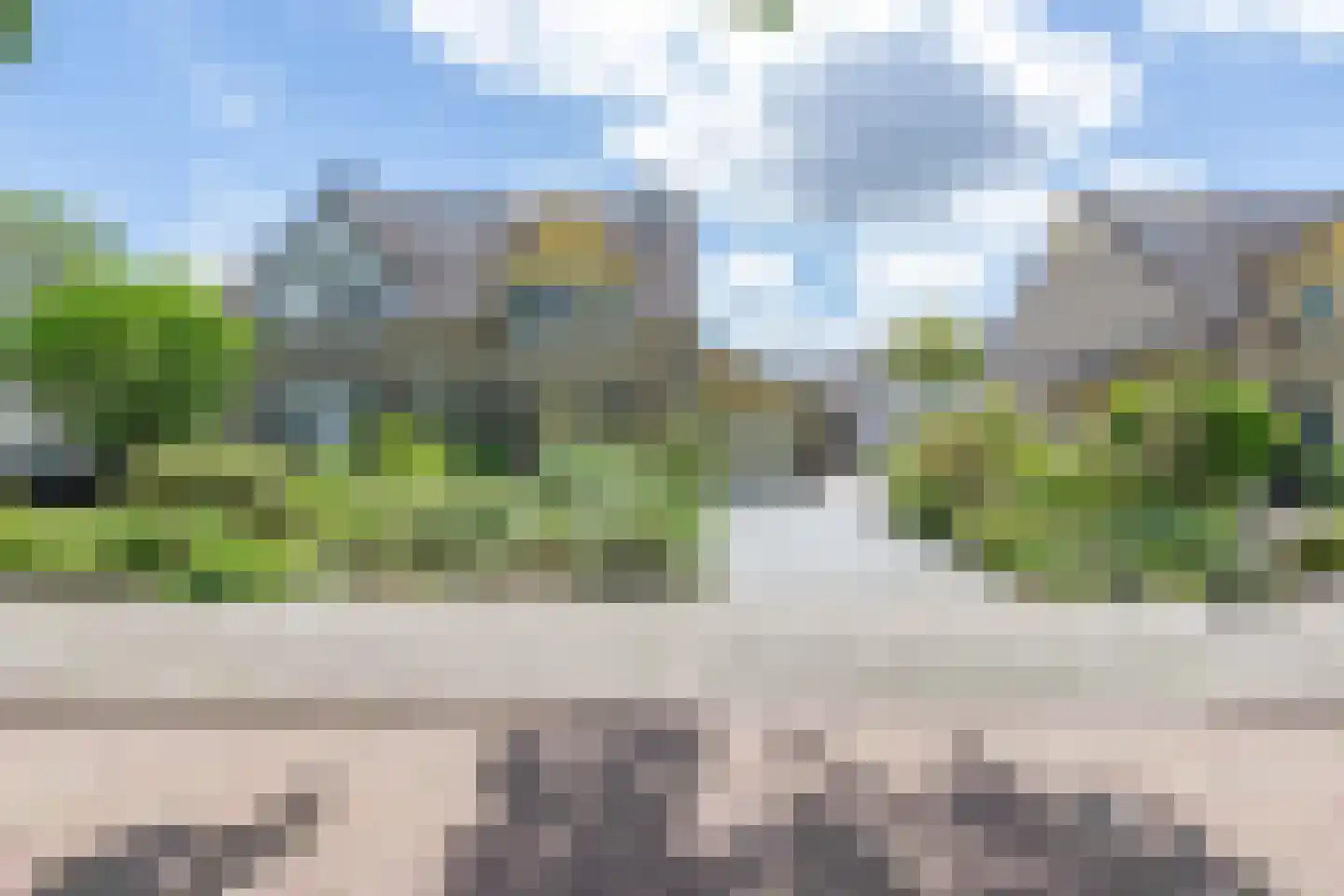 Brilbeer 26 Heerhugowaard thumbnail 7