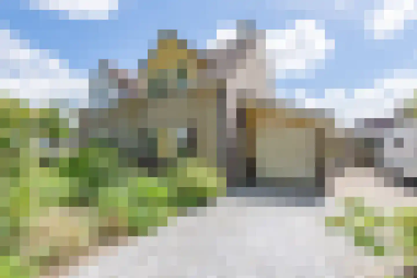 Brilbeer 26 Heerhugowaard thumbnail 8