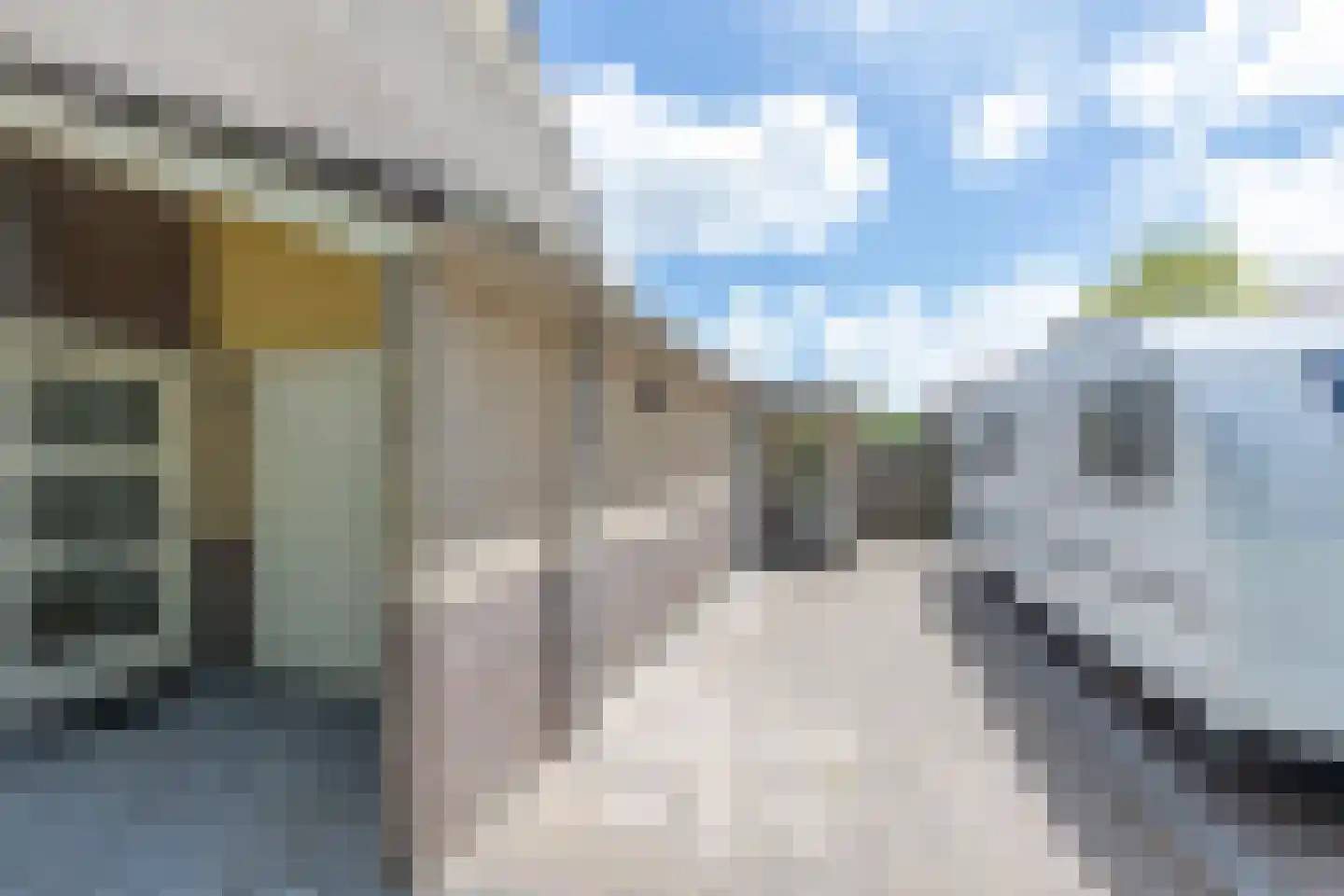 Brilbeer 26 Heerhugowaard thumbnail 9