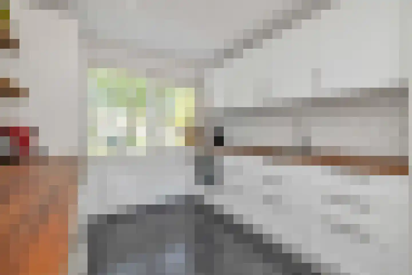 Brilbeer 44 Heerhugowaard thumbnail 15