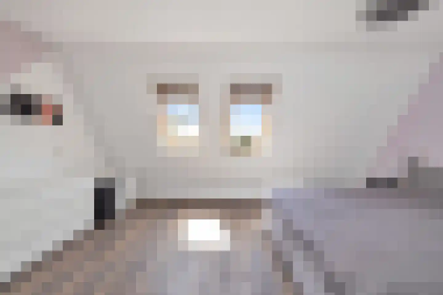Brilbeer 44 Heerhugowaard thumbnail 20