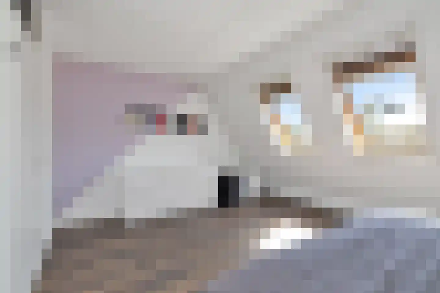 Brilbeer 44 Heerhugowaard thumbnail 23