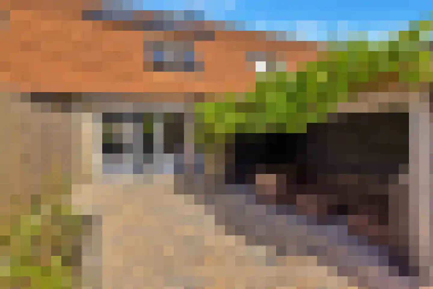 Brilbeer 44 Heerhugowaard thumbnail 33