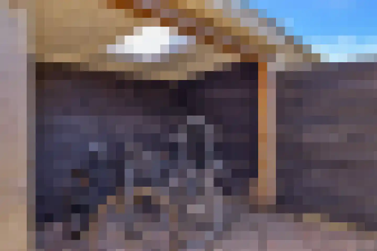 Brilbeer 44 Heerhugowaard thumbnail 37