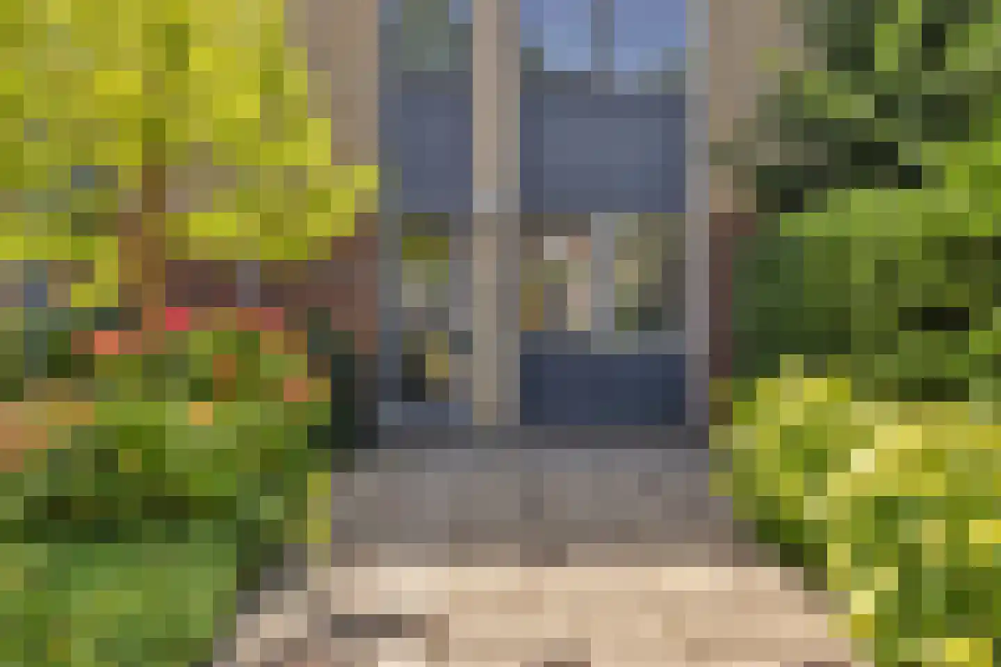 Brilbeer 44 Heerhugowaard thumbnail 6