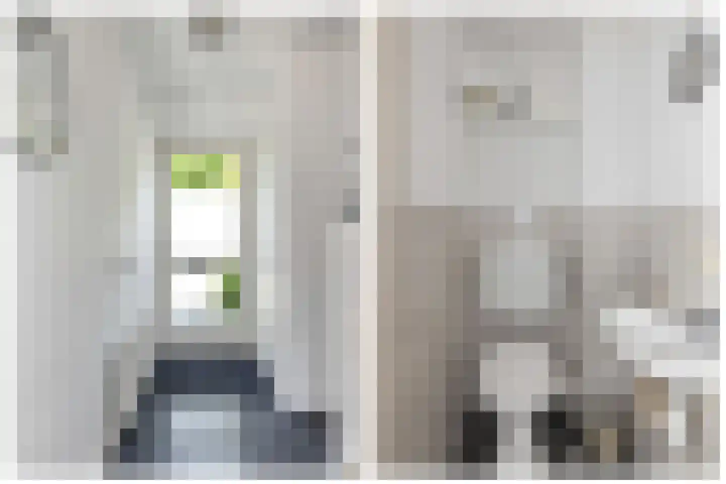 Brilbeer 44 Heerhugowaard thumbnail 8