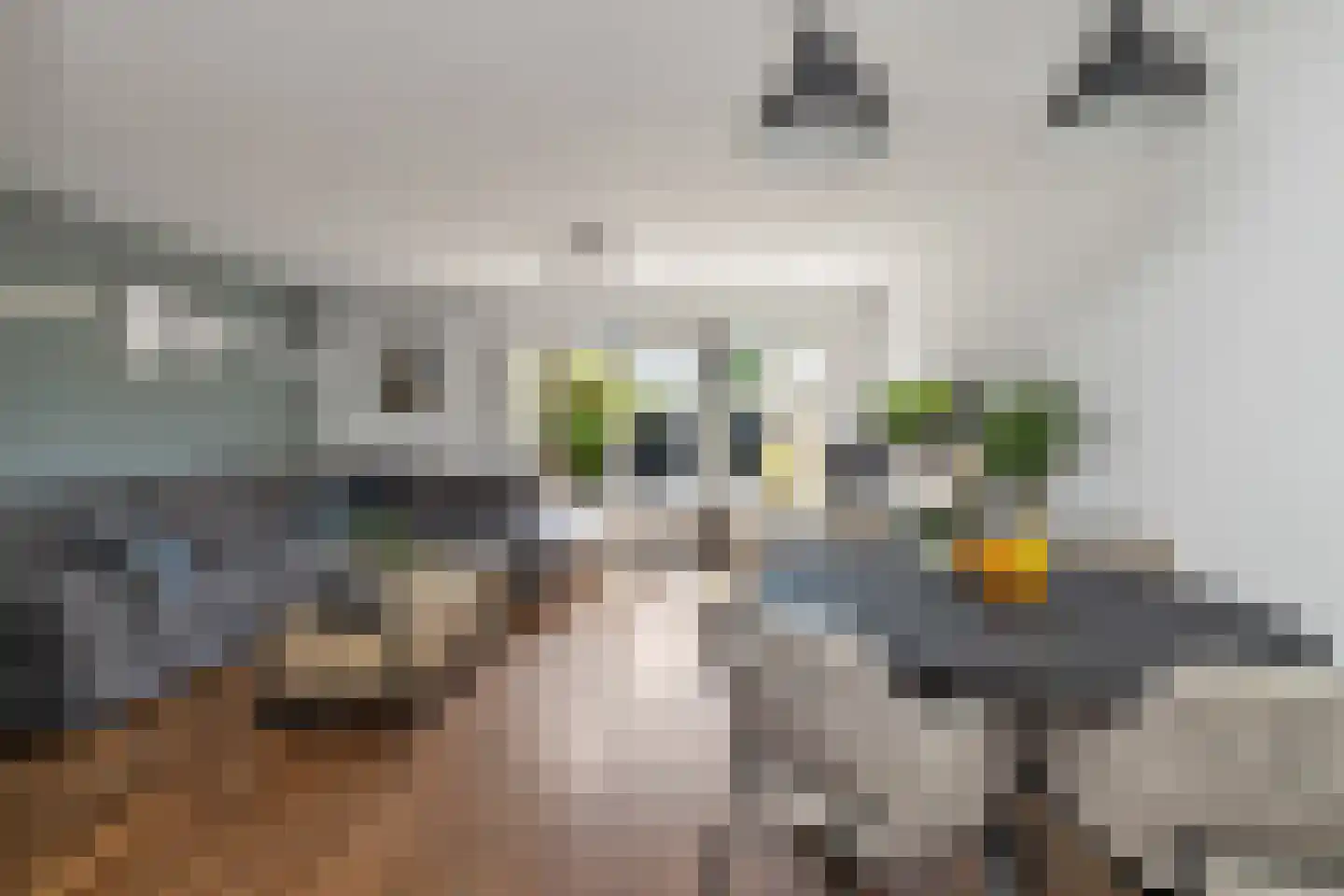 Brilbeer 44 Heerhugowaard thumbnail 9