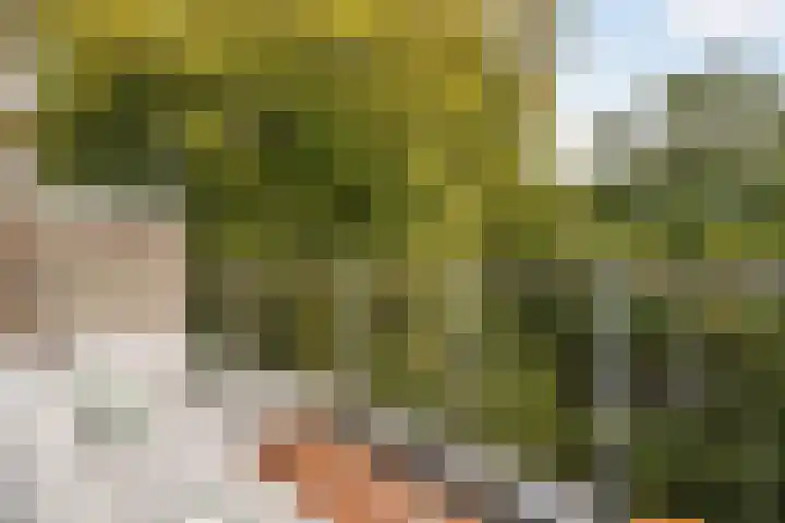 Brilduiker 16 Pijnacker thumbnail 15