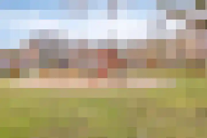 Brilduiker 16 Pijnacker thumbnail 18