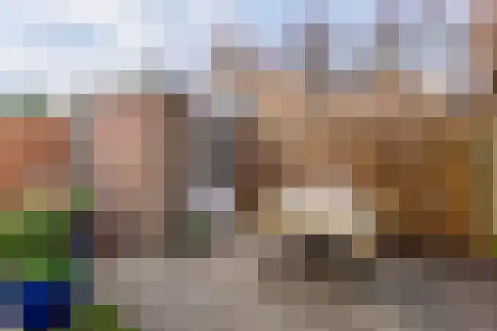 Brilduiker 16 Pijnacker thumbnail 19