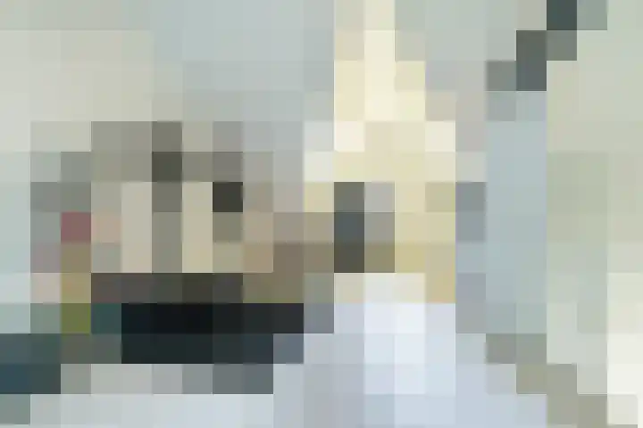 Brilduiker 16 Pijnacker thumbnail 21