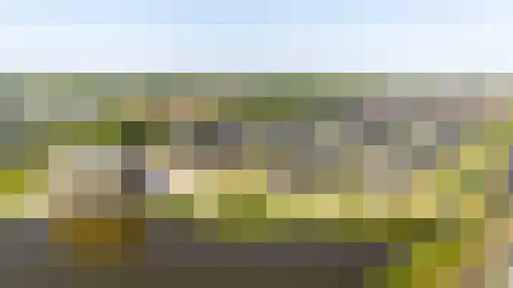 Brilduiker 16 Pijnacker thumbnail 30
