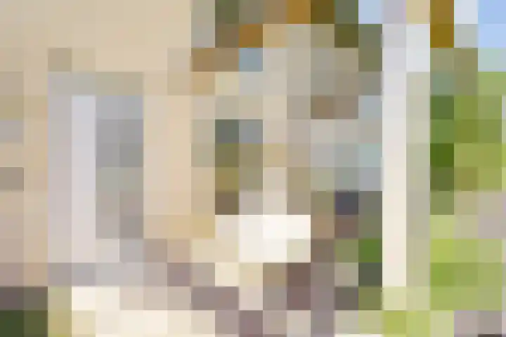 Brilduiker 16 Pijnacker thumbnail 4