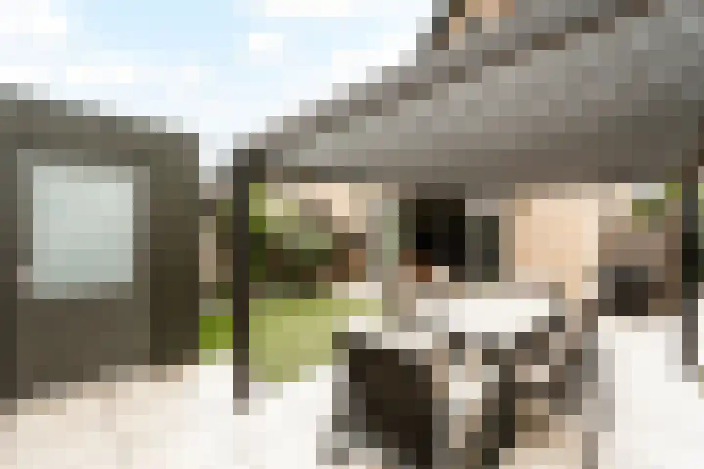 Brilduiker 8 Pijnacker thumbnail 15