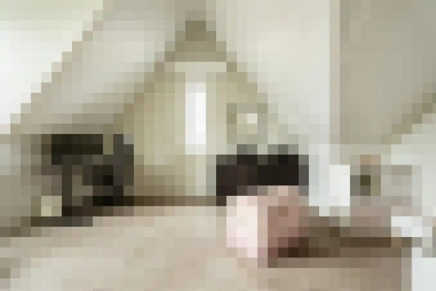 Brilduiker 8 Pijnacker thumbnail 31