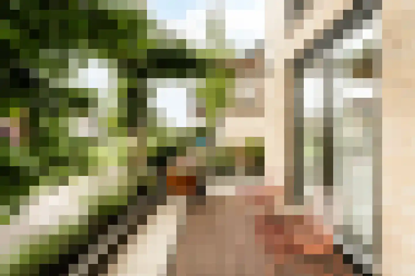 Brilduiker 8 Pijnacker thumbnail 38