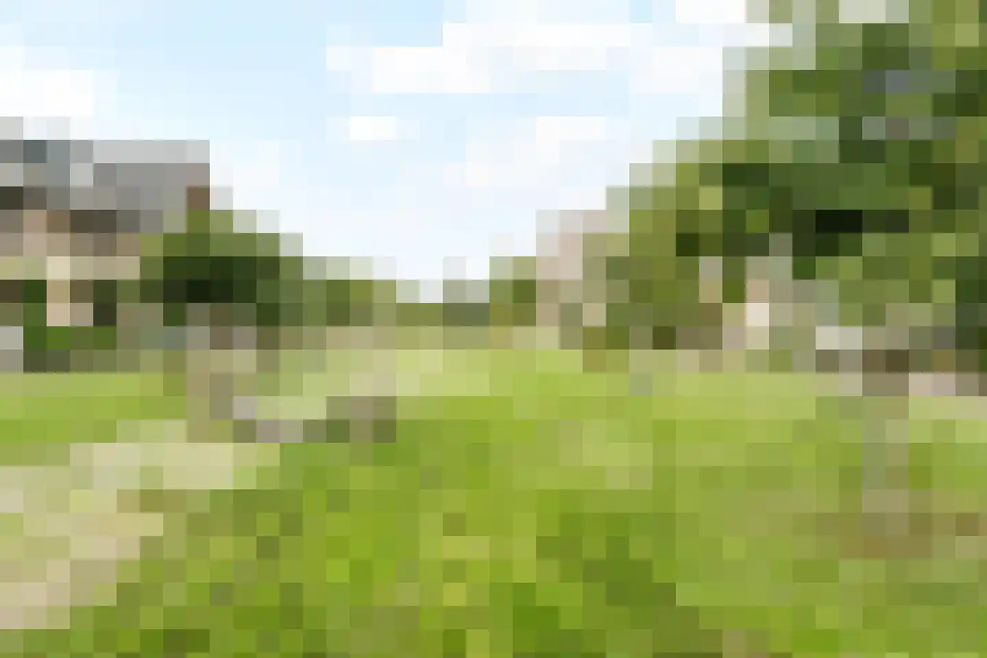 Brilduiker 8 Pijnacker thumbnail 40