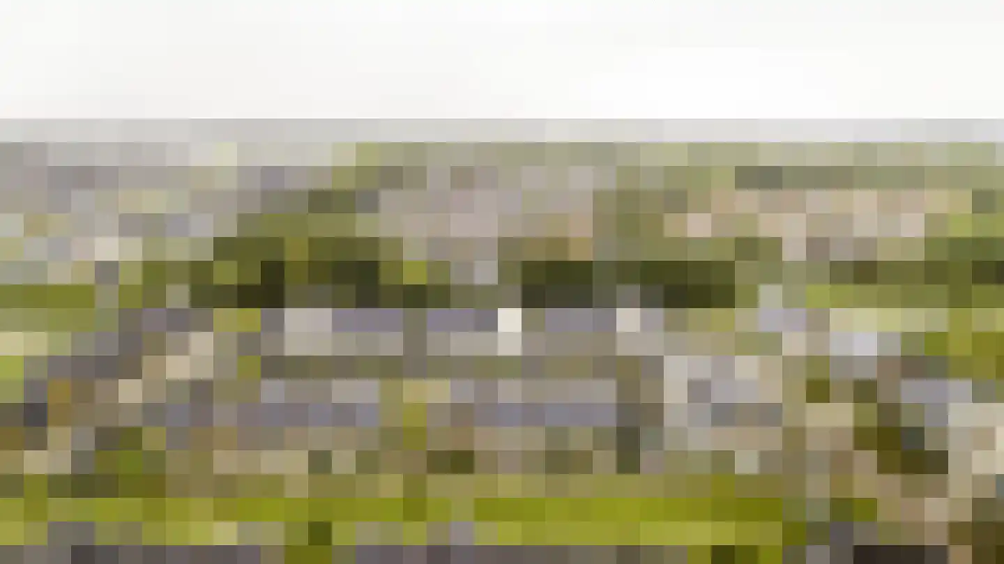 Brilduiker 8 Pijnacker thumbnail 43