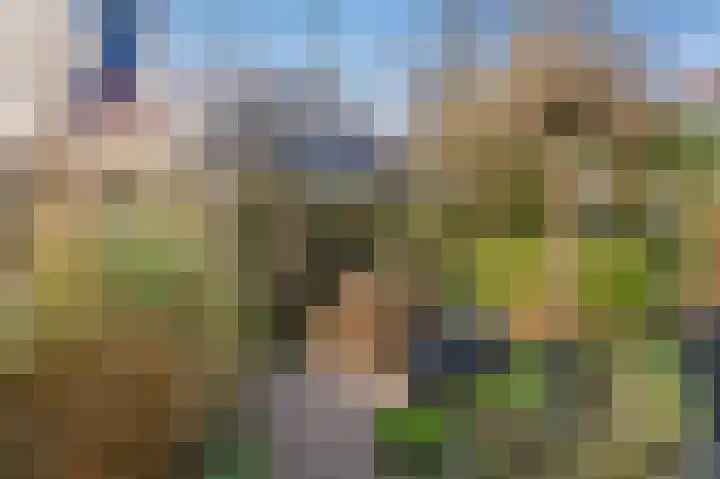 Brilduikerhof 15 Delft thumbnail 8