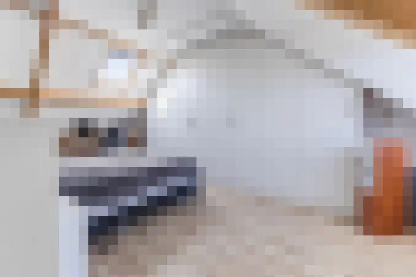 Brilhoeve 4 Sterksel thumbnail 11