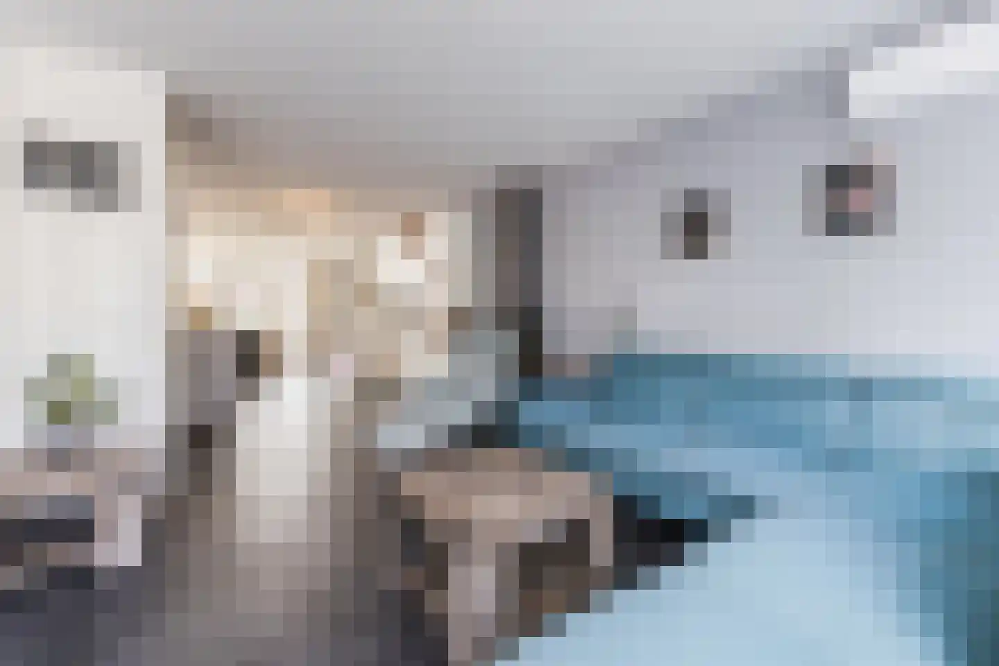 Brilhoeve 4 Sterksel thumbnail 20