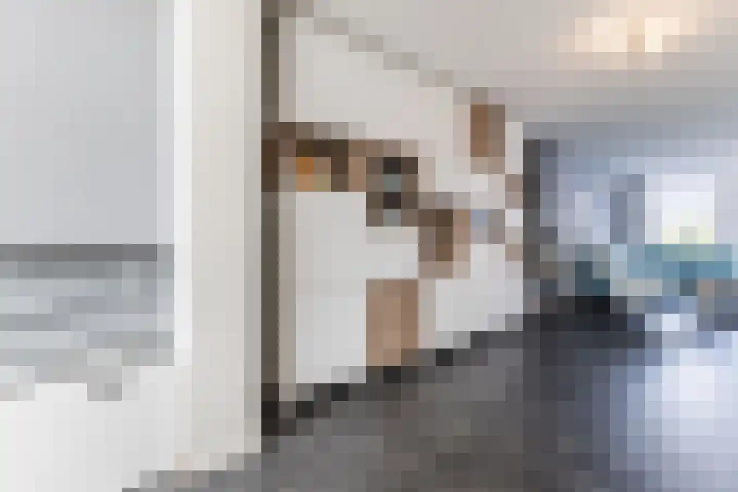 Brilhoeve 4 Sterksel thumbnail 21