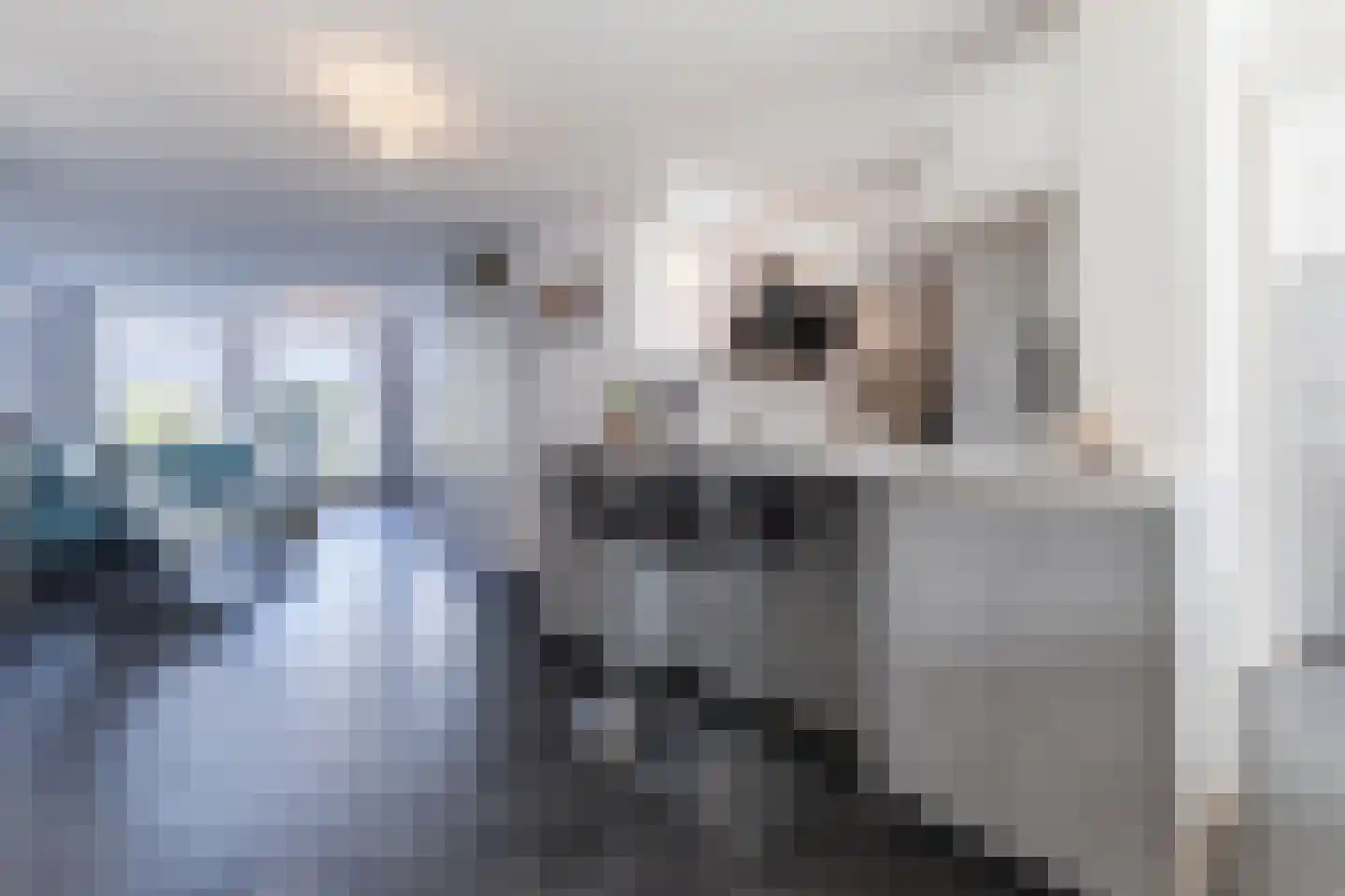 Brilhoeve 4 Sterksel thumbnail 22