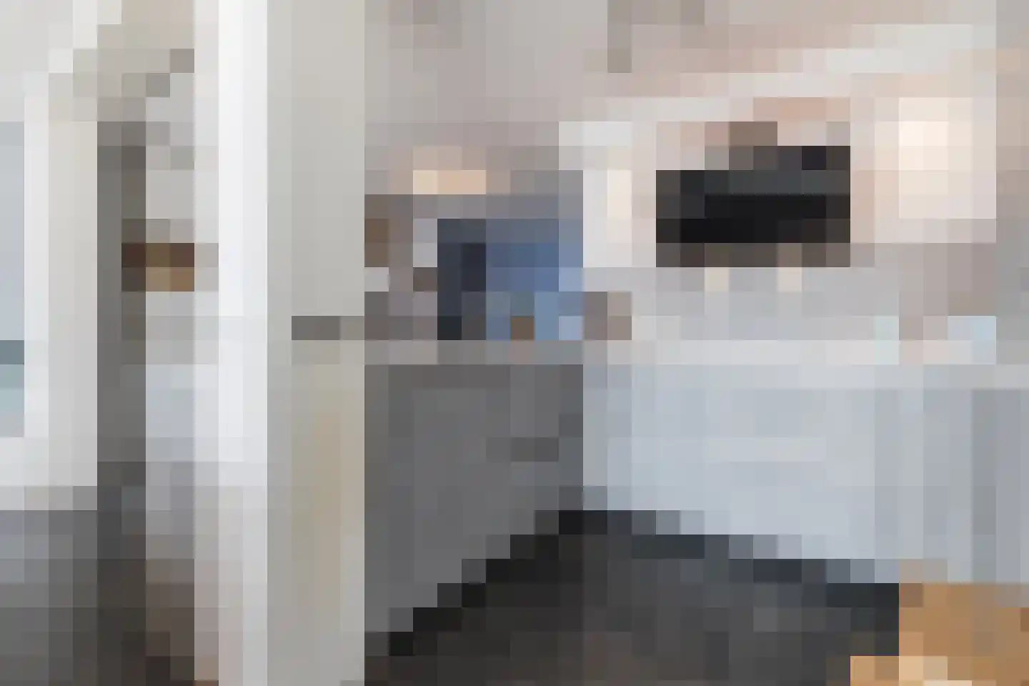 Brilhoeve 4 Sterksel thumbnail 27
