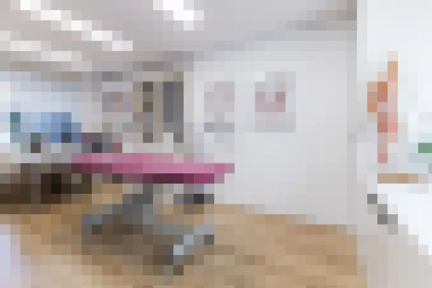 Brilhoeve 4 Sterksel thumbnail 28